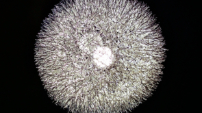 Advances in gallium oxide will enable more efficient energy generation for lighting, EVs, and a variety of other devices.